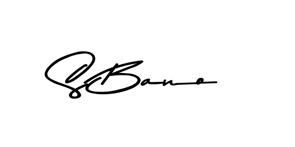 Make a beautiful signature design for name S Bano. Use this online signature maker to create a handwritten signature for free. S Bano signature style 9 images and pictures png