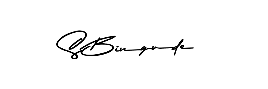 You should practise on your own different ways (Asem Kandis PERSONAL USE) to write your name (S Bingude) in signature. don't let someone else do it for you. S Bingude signature style 9 images and pictures png