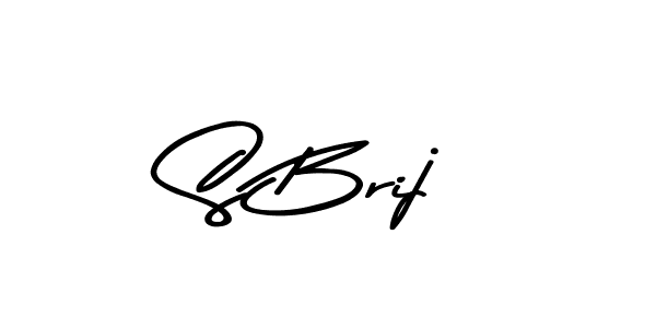 Here are the top 10 professional signature styles for the name S Brij. These are the best autograph styles you can use for your name. S Brij signature style 9 images and pictures png