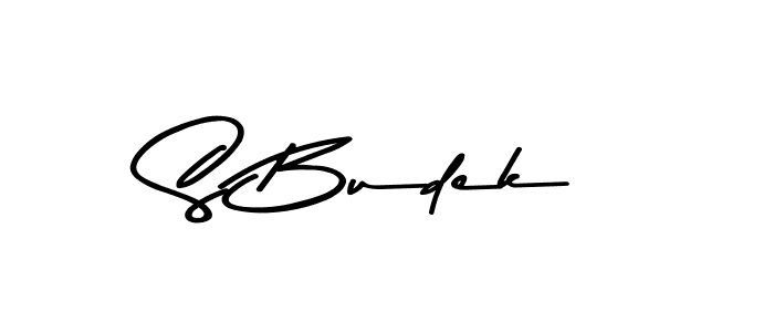 Create a beautiful signature design for name S Budek. With this signature (Asem Kandis PERSONAL USE) fonts, you can make a handwritten signature for free. S Budek signature style 9 images and pictures png