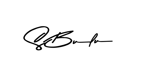 You should practise on your own different ways (Asem Kandis PERSONAL USE) to write your name (S Bulu) in signature. don't let someone else do it for you. S Bulu signature style 9 images and pictures png