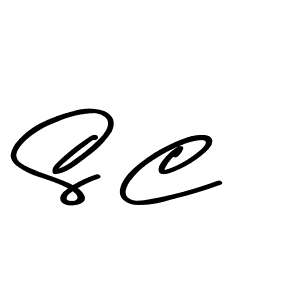 S C stylish signature style. Best Handwritten Sign (Asem Kandis PERSONAL USE) for my name. Handwritten Signature Collection Ideas for my name S C. S C signature style 9 images and pictures png