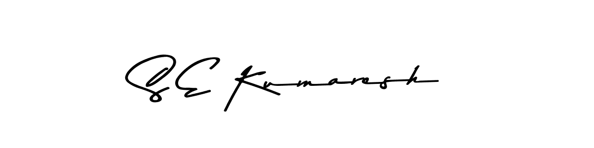 S E Kumaresh stylish signature style. Best Handwritten Sign (Asem Kandis PERSONAL USE) for my name. Handwritten Signature Collection Ideas for my name S E Kumaresh. S E Kumaresh signature style 9 images and pictures png