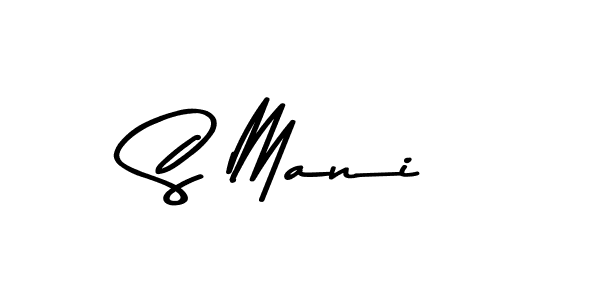 You should practise on your own different ways (Asem Kandis PERSONAL USE) to write your name (S Mani) in signature. don't let someone else do it for you. S Mani signature style 9 images and pictures png
