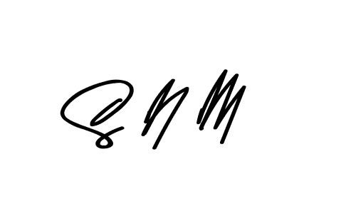 S N M stylish signature style. Best Handwritten Sign (Asem Kandis PERSONAL USE) for my name. Handwritten Signature Collection Ideas for my name S N M. S N M signature style 9 images and pictures png