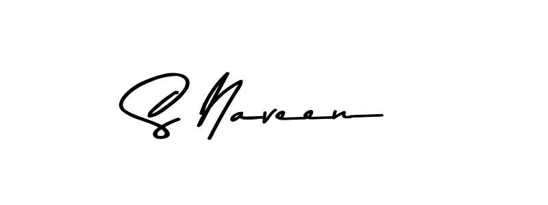 You should practise on your own different ways (Asem Kandis PERSONAL USE) to write your name (S Naveen) in signature. don't let someone else do it for you. S Naveen signature style 9 images and pictures png