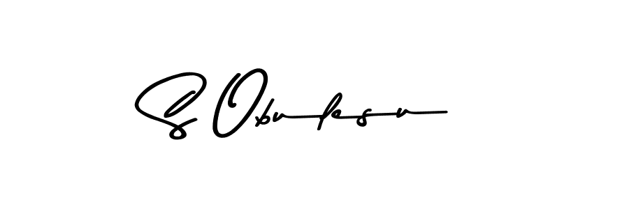 You should practise on your own different ways (Asem Kandis PERSONAL USE) to write your name (S Obulesu) in signature. don't let someone else do it for you. S Obulesu signature style 9 images and pictures png