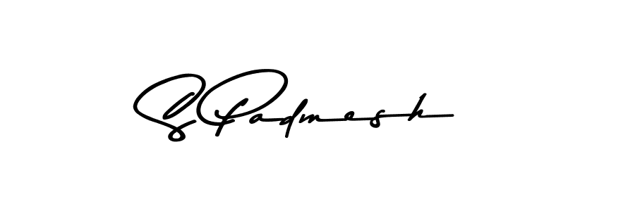 You should practise on your own different ways (Asem Kandis PERSONAL USE) to write your name (S Padmesh) in signature. don't let someone else do it for you. S Padmesh signature style 9 images and pictures png