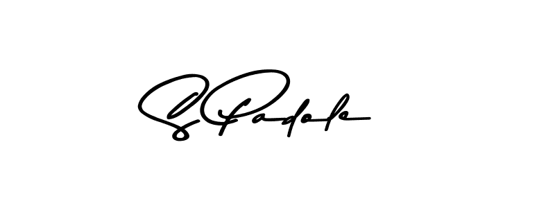 S Padole stylish signature style. Best Handwritten Sign (Asem Kandis PERSONAL USE) for my name. Handwritten Signature Collection Ideas for my name S Padole. S Padole signature style 9 images and pictures png