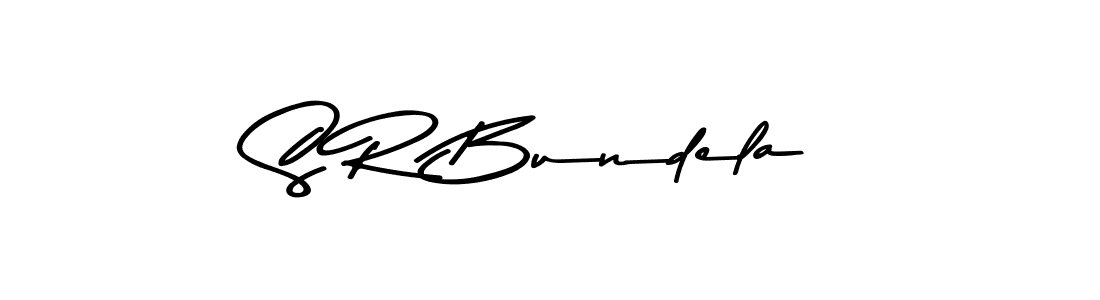 Make a beautiful signature design for name S R Bundela. Use this online signature maker to create a handwritten signature for free. S R Bundela signature style 9 images and pictures png