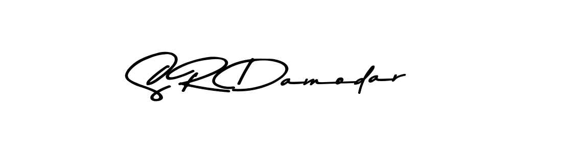 Make a beautiful signature design for name S R Damodar. Use this online signature maker to create a handwritten signature for free. S R Damodar signature style 9 images and pictures png