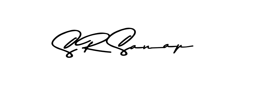 S R Sanap stylish signature style. Best Handwritten Sign (Asem Kandis PERSONAL USE) for my name. Handwritten Signature Collection Ideas for my name S R Sanap. S R Sanap signature style 9 images and pictures png