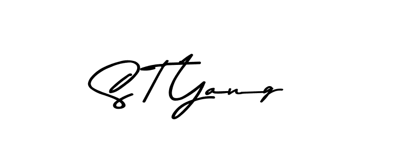 You should practise on your own different ways (Asem Kandis PERSONAL USE) to write your name (S T Yang) in signature. don't let someone else do it for you. S T Yang signature style 9 images and pictures png