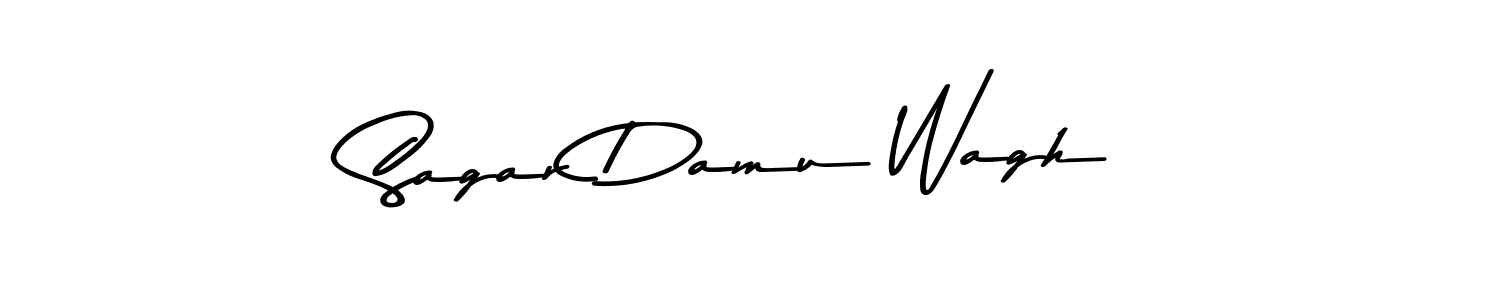 Asem Kandis PERSONAL USE is a professional signature style that is perfect for those who want to add a touch of class to their signature. It is also a great choice for those who want to make their signature more unique. Get Sagar Damu Wagh name to fancy signature for free. Sagar Damu Wagh signature style 9 images and pictures png