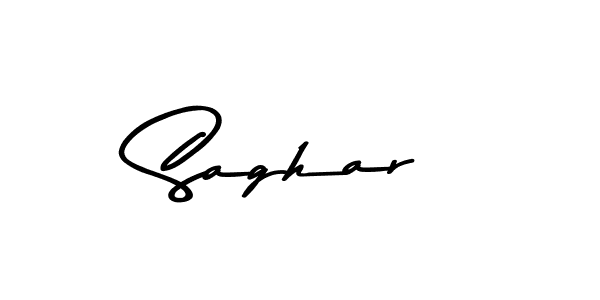 Make a beautiful signature design for name Saghar. Use this online signature maker to create a handwritten signature for free. Saghar signature style 9 images and pictures png