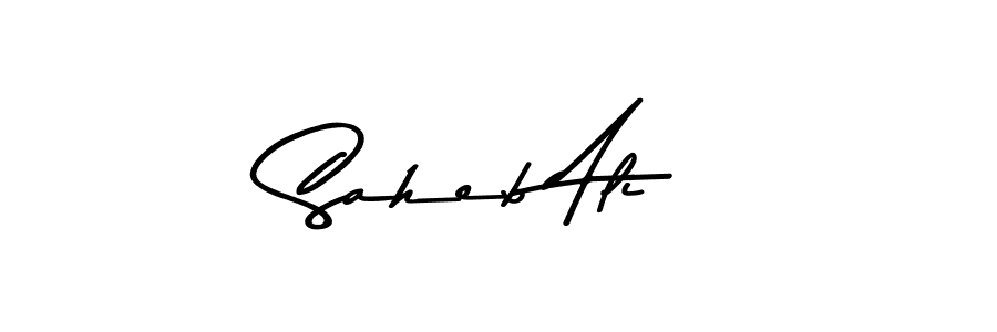 You should practise on your own different ways (Asem Kandis PERSONAL USE) to write your name (Saheb Ali) in signature. don't let someone else do it for you. Saheb Ali signature style 9 images and pictures png