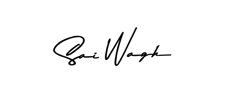 Sai Wagh stylish signature style. Best Handwritten Sign (Asem Kandis PERSONAL USE) for my name. Handwritten Signature Collection Ideas for my name Sai Wagh. Sai Wagh signature style 9 images and pictures png