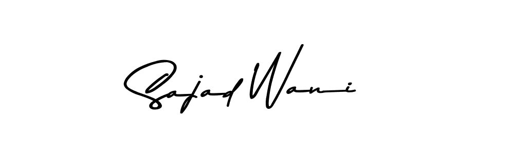 Sajad Wani stylish signature style. Best Handwritten Sign (Asem Kandis PERSONAL USE) for my name. Handwritten Signature Collection Ideas for my name Sajad Wani. Sajad Wani signature style 9 images and pictures png