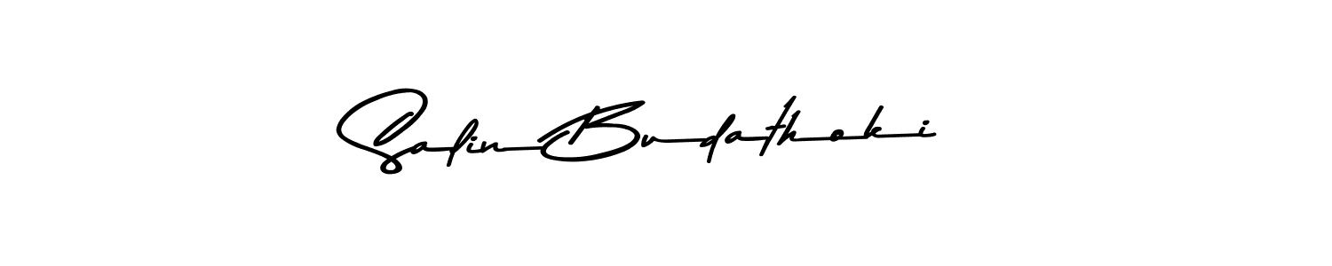 Make a beautiful signature design for name Salin Budathoki. Use this online signature maker to create a handwritten signature for free. Salin Budathoki signature style 9 images and pictures png