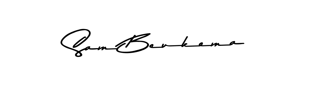 Best and Professional Signature Style for Sam Beukema. Asem Kandis PERSONAL USE Best Signature Style Collection. Sam Beukema signature style 9 images and pictures png