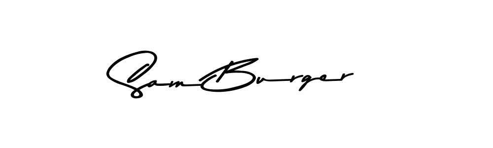 How to make Sam Burger signature? Asem Kandis PERSONAL USE is a professional autograph style. Create handwritten signature for Sam Burger name. Sam Burger signature style 9 images and pictures png