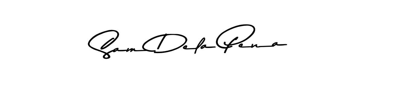 Use a signature maker to create a handwritten signature online. With this signature software, you can design (Asem Kandis PERSONAL USE) your own signature for name Sam Dela Pena. Sam Dela Pena signature style 9 images and pictures png