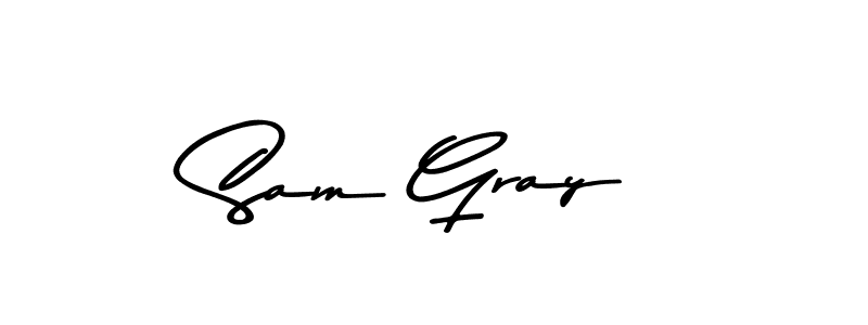 Similarly Asem Kandis PERSONAL USE is the best handwritten signature design. Signature creator online .You can use it as an online autograph creator for name Sam Gray. Sam Gray signature style 9 images and pictures png