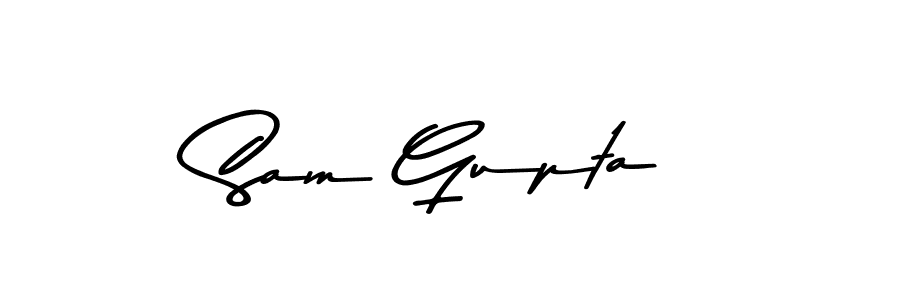 Best and Professional Signature Style for Sam Gupta. Asem Kandis PERSONAL USE Best Signature Style Collection. Sam Gupta signature style 9 images and pictures png