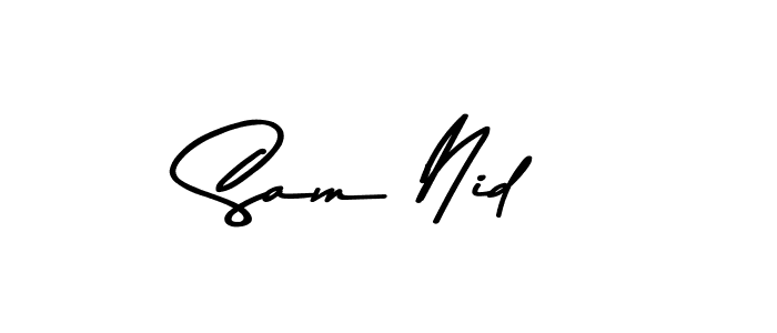 Sam Nid stylish signature style. Best Handwritten Sign (Asem Kandis PERSONAL USE) for my name. Handwritten Signature Collection Ideas for my name Sam Nid. Sam Nid signature style 9 images and pictures png