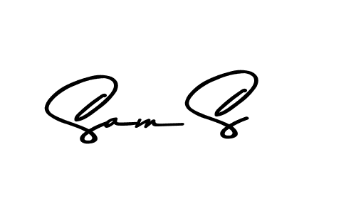 You should practise on your own different ways (Asem Kandis PERSONAL USE) to write your name (Sam S) in signature. don't let someone else do it for you. Sam S signature style 9 images and pictures png