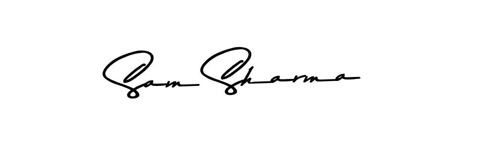 You should practise on your own different ways (Asem Kandis PERSONAL USE) to write your name (Sam Sharma) in signature. don't let someone else do it for you. Sam Sharma signature style 9 images and pictures png