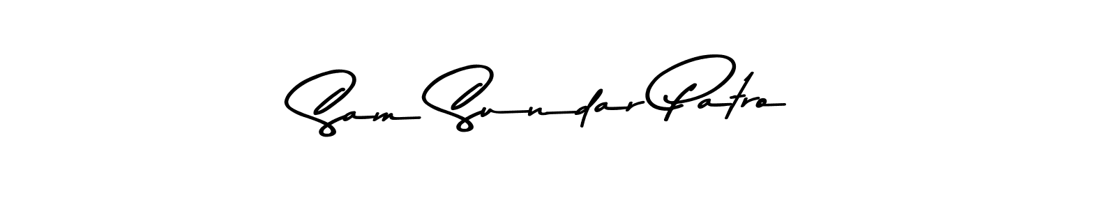 Make a beautiful signature design for name Sam Sundar Patro. Use this online signature maker to create a handwritten signature for free. Sam Sundar Patro signature style 9 images and pictures png