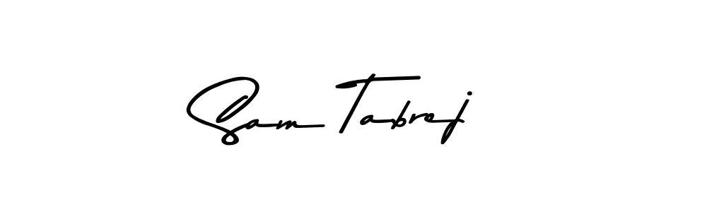 See photos of Sam Tabrej official signature by Spectra . Check more albums & portfolios. Read reviews & check more about Asem Kandis PERSONAL USE font. Sam Tabrej signature style 9 images and pictures png