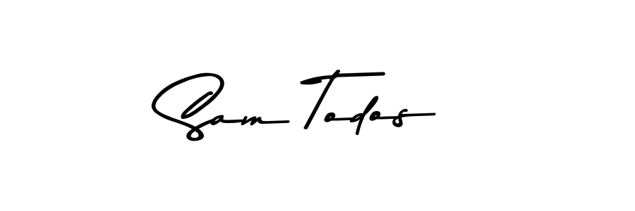 Also we have Sam Todos name is the best signature style. Create professional handwritten signature collection using Asem Kandis PERSONAL USE autograph style. Sam Todos signature style 9 images and pictures png