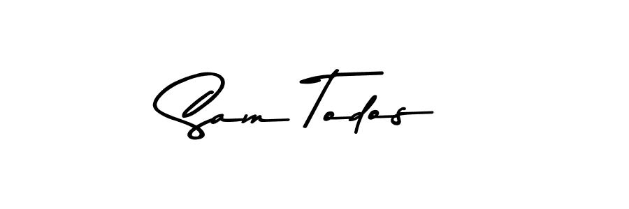 if you are searching for the best signature style for your name Sam Todos. so please give up your signature search. here we have designed multiple signature styles  using Asem Kandis PERSONAL USE. Sam Todos signature style 9 images and pictures png