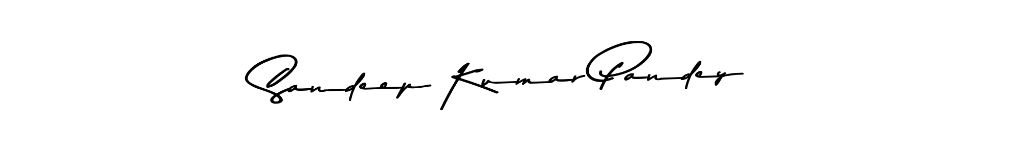 See photos of Sandeep Kumar Pandey official signature by Spectra . Check more albums & portfolios. Read reviews & check more about Asem Kandis PERSONAL USE font. Sandeep Kumar Pandey signature style 9 images and pictures png