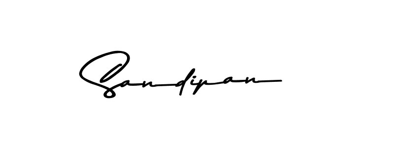 You should practise on your own different ways (Asem Kandis PERSONAL USE) to write your name (Sandipan) in signature. don't let someone else do it for you. Sandipan signature style 9 images and pictures png