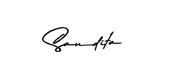 You should practise on your own different ways (Asem Kandis PERSONAL USE) to write your name (Sandita) in signature. don't let someone else do it for you. Sandita signature style 9 images and pictures png