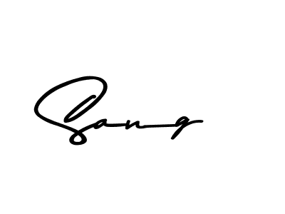 You should practise on your own different ways (Asem Kandis PERSONAL USE) to write your name (Sang) in signature. don't let someone else do it for you. Sang signature style 9 images and pictures png