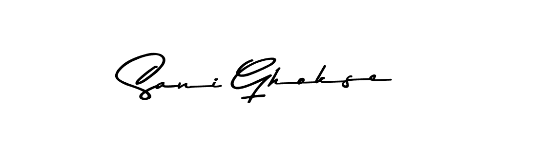 You should practise on your own different ways (Asem Kandis PERSONAL USE) to write your name (Sani Ghokse) in signature. don't let someone else do it for you. Sani Ghokse signature style 9 images and pictures png