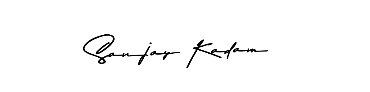 Similarly Asem Kandis PERSONAL USE is the best handwritten signature design. Signature creator online .You can use it as an online autograph creator for name Sanjay Kadam. Sanjay Kadam signature style 9 images and pictures png