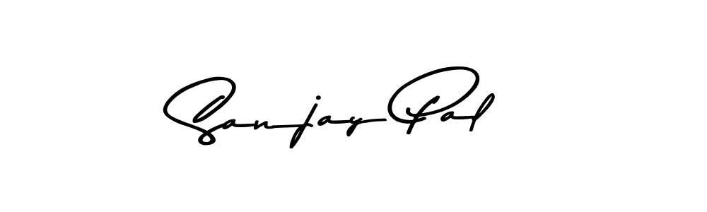 Design your own signature with our free online signature maker. With this signature software, you can create a handwritten (Asem Kandis PERSONAL USE) signature for name Sanjay Pal. Sanjay Pal signature style 9 images and pictures png