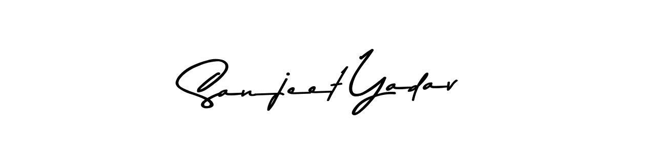 Make a beautiful signature design for name Sanjeet Yadav. Use this online signature maker to create a handwritten signature for free. Sanjeet Yadav signature style 9 images and pictures png