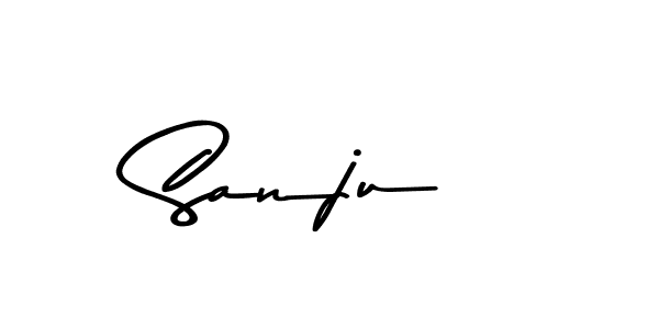 Here are the top 10 professional signature styles for the name Sanju . These are the best autograph styles you can use for your name. Sanju  signature style 9 images and pictures png