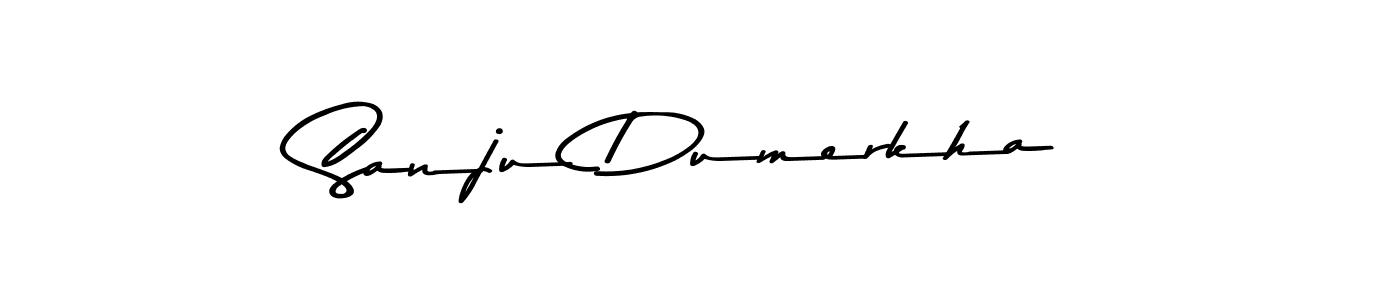 Here are the top 10 professional signature styles for the name Sanju Dumerkha. These are the best autograph styles you can use for your name. Sanju Dumerkha signature style 9 images and pictures png