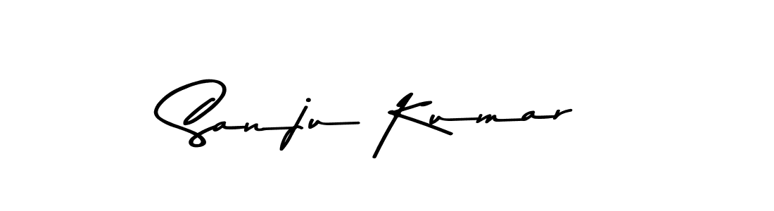 Here are the top 10 professional signature styles for the name Sanju Kumar. These are the best autograph styles you can use for your name. Sanju Kumar signature style 9 images and pictures png