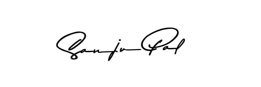 Use a signature maker to create a handwritten signature online. With this signature software, you can design (Asem Kandis PERSONAL USE) your own signature for name Sanju Pal. Sanju Pal signature style 9 images and pictures png