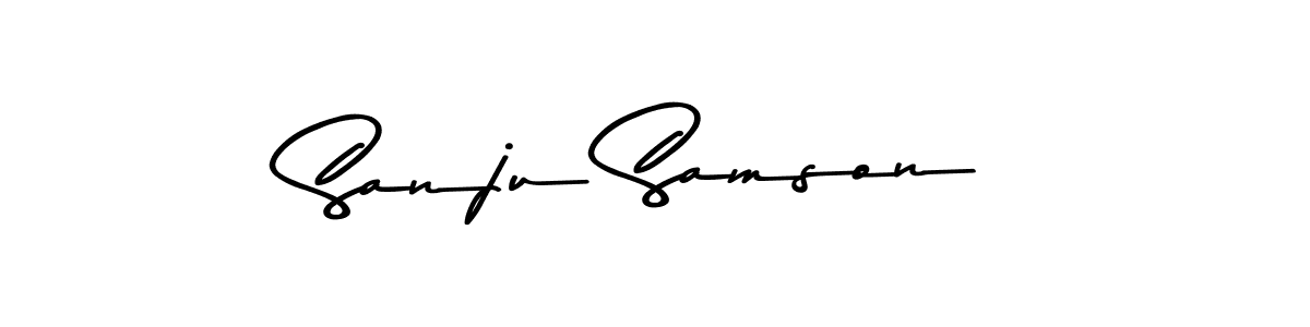 You should practise on your own different ways (Asem Kandis PERSONAL USE) to write your name (Sanju Samson) in signature. don't let someone else do it for you. Sanju Samson signature style 9 images and pictures png
