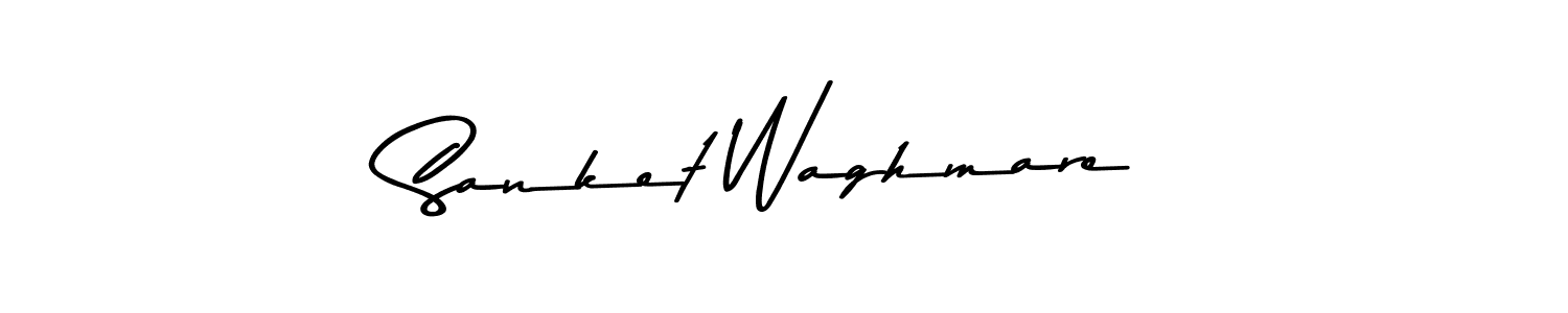 Use a signature maker to create a handwritten signature online. With this signature software, you can design (Asem Kandis PERSONAL USE) your own signature for name Sanket Waghmare. Sanket Waghmare signature style 9 images and pictures png