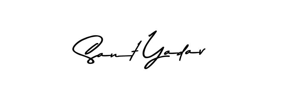 Make a beautiful signature design for name Sant Yadav. Use this online signature maker to create a handwritten signature for free. Sant Yadav signature style 9 images and pictures png